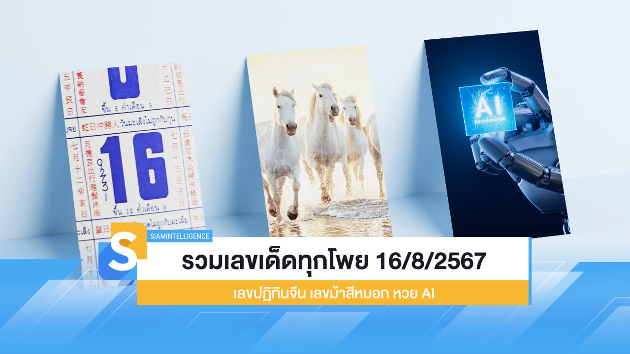 รวมเลขเด็ด 16/8/2567 เลขปฏิทินจีน เลขม้าสีหมอก หวย AI