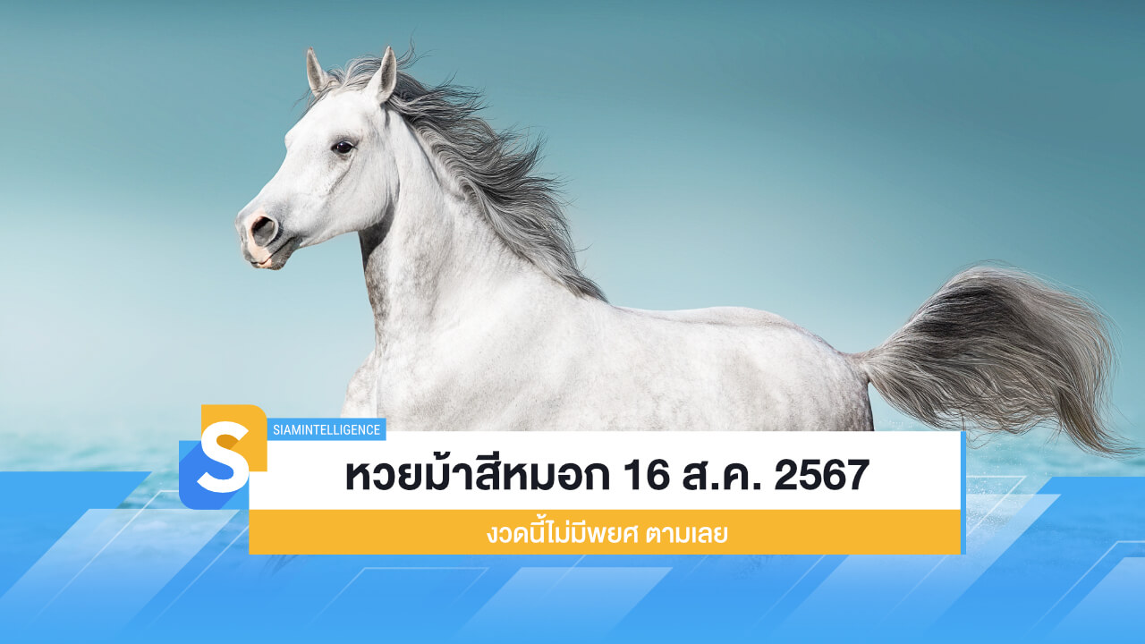 หวยม้าสีหมอก งวดวันที่ 16 สิงหาคม 2567 งวดนี้ไม่มีพยศ ตามเลย