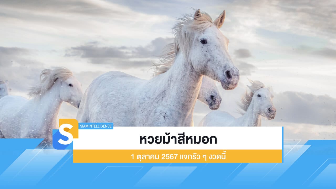 ควบมาแล้ว หวยม้าสีหมอก 1 ตุลาคม 2567 แจกรัว ๆ งวดนี้