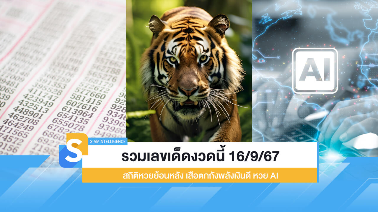 รวมเลขเด็ดงวดนี้ 16/9/67 สถิติหวยย้อนหลัง เสือตกถังพลังเงินดี หวย AI