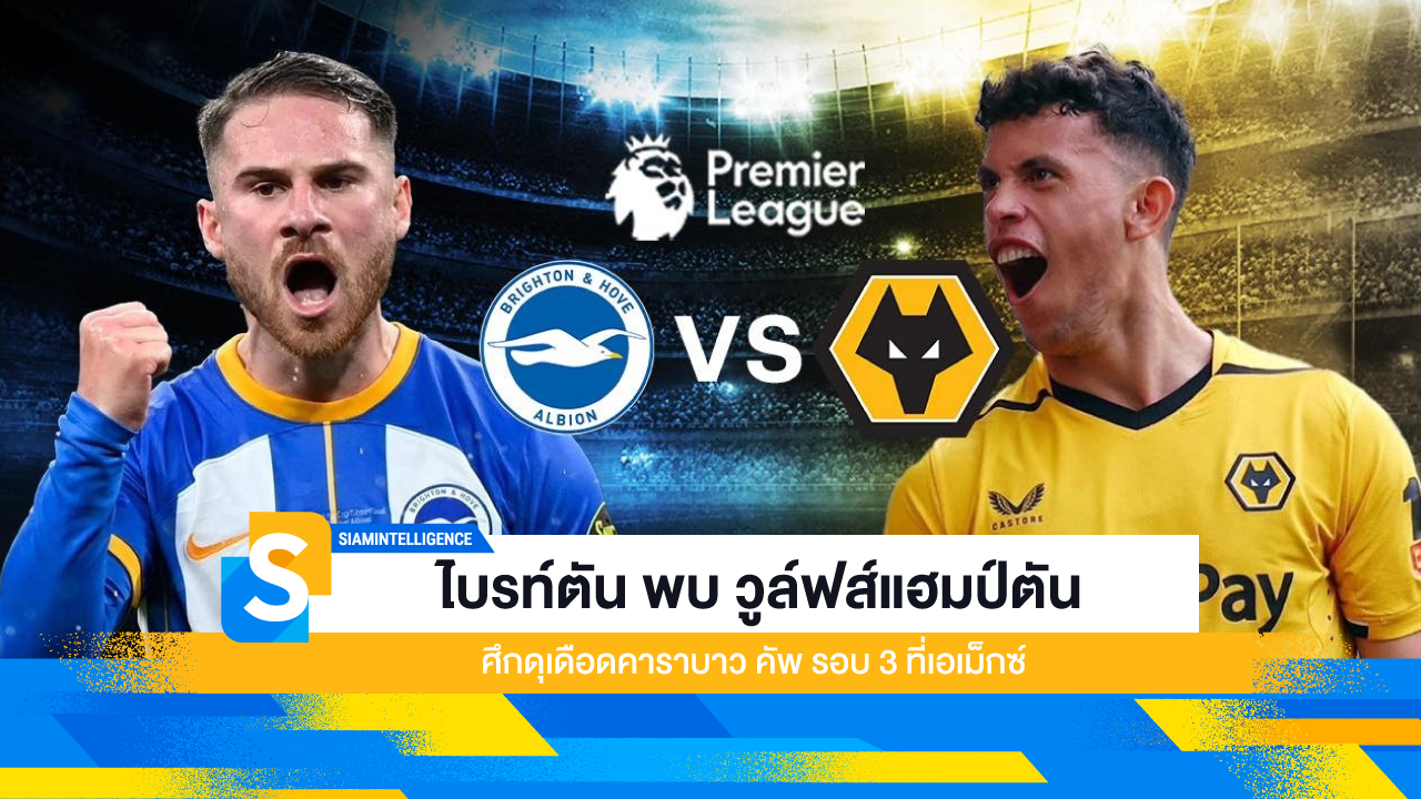 ไบรท์ตัน พบ วูล์ฟส์แฮมป์ตัน ศึกดุเดือดคาราบาว คัพ รอบ 3 ที่เอเม็กซ์