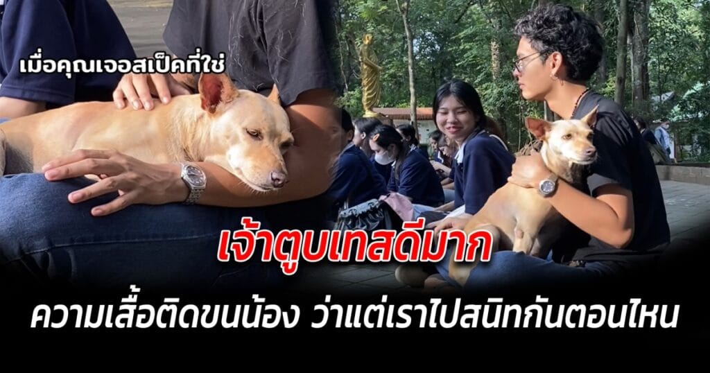 ไวรัลคลิปน่ารัก น้องหมาอ้อนหนุ่มแปลกหน้าจนขนติดเต็มเสื้อ ชาวเน็ตแห่เอ็นดู