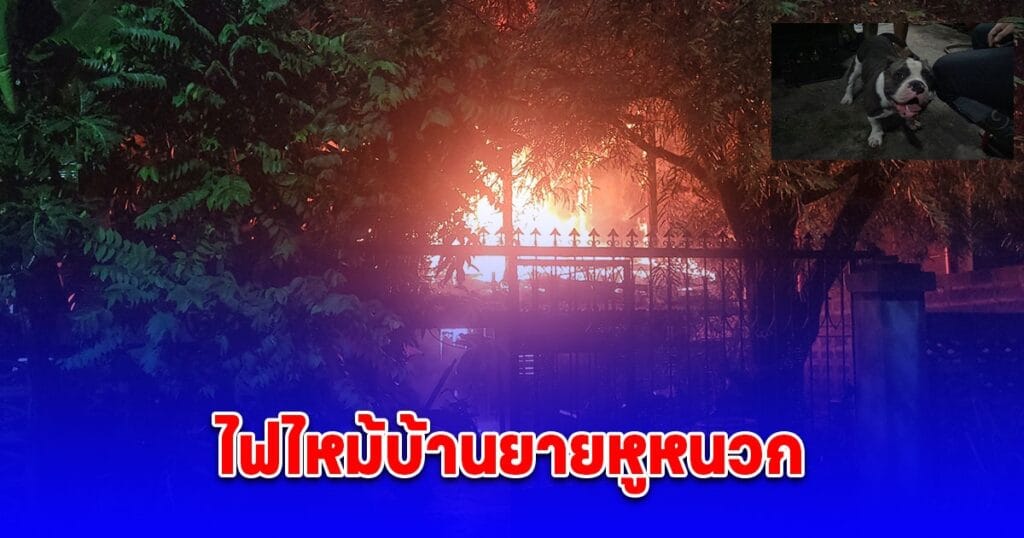 สุนัขเฝ้าบ้านกลายเป็นฮีโร่! เห่าปลุกเจ้าของช่วยยายหูหนวกรอดตายจากไฟไหม้บ้านกลางดึก