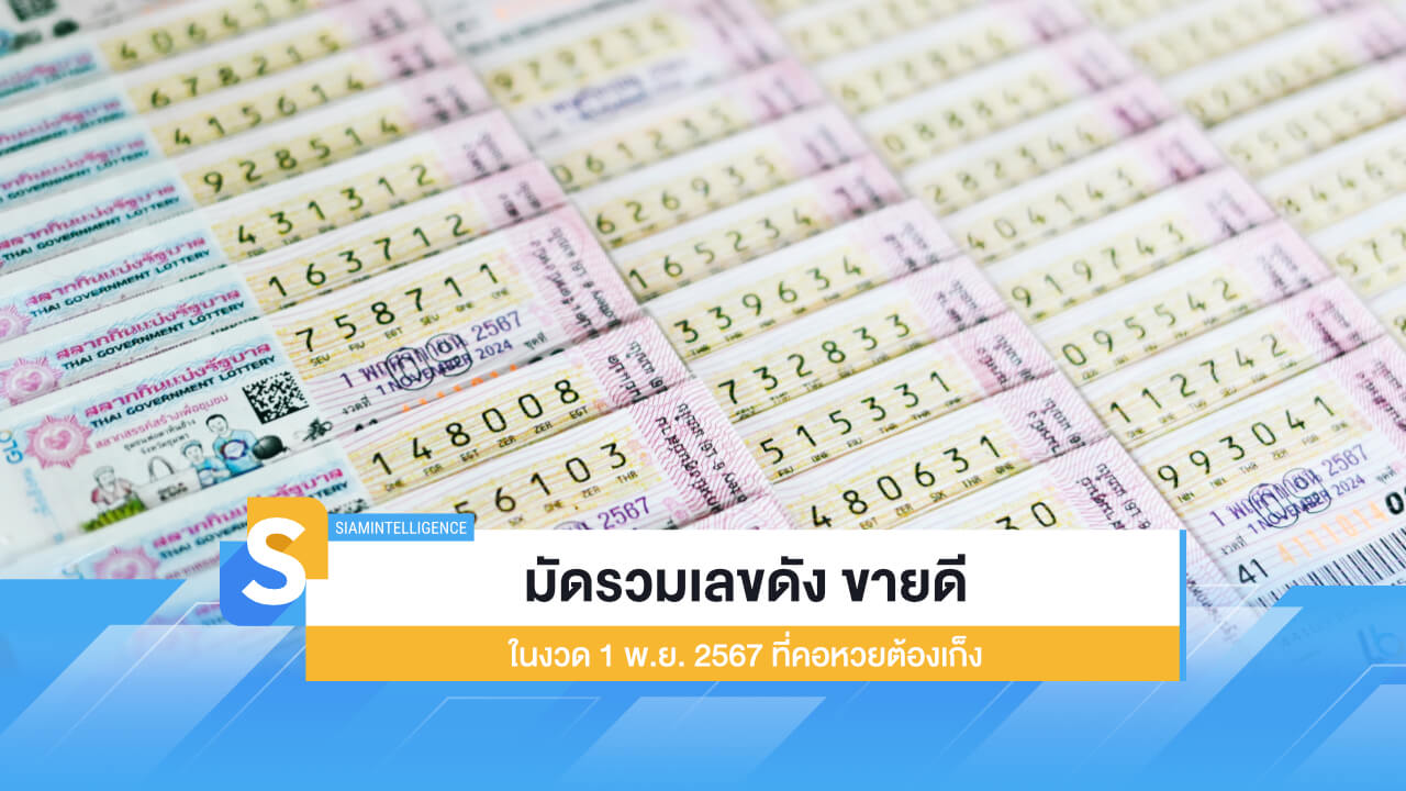 มัดรวมเลขดัง ขายดีในงวด 1 พ.ย. 2567 นี้ ที่คอหวยต้องเก็ง