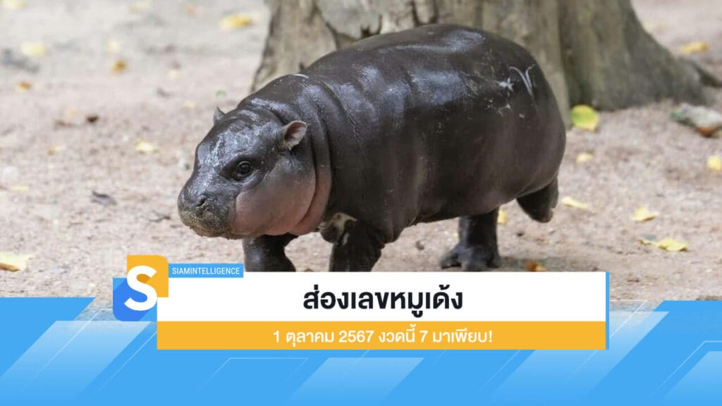 ส่องเลขหมูเด้ง เก็งหวยงวด 1 ตุลาคม 2567 งวดนี้ 7 มาเพียบ!