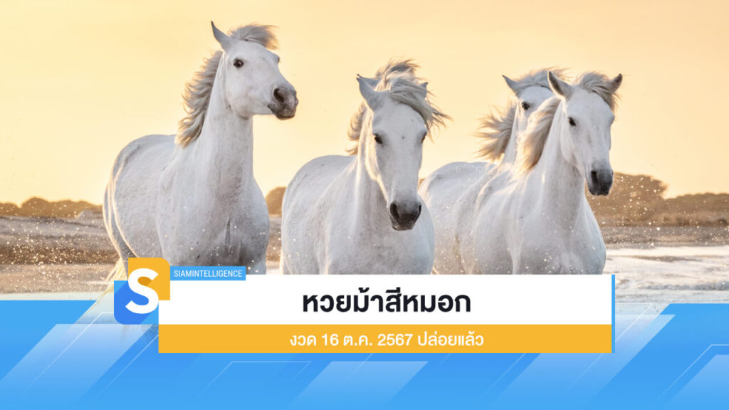 หวยม้าสีหมอก งวด 16 ต.ค. 2567 ปล่อยแล้ว ตามเลยให้ไว!