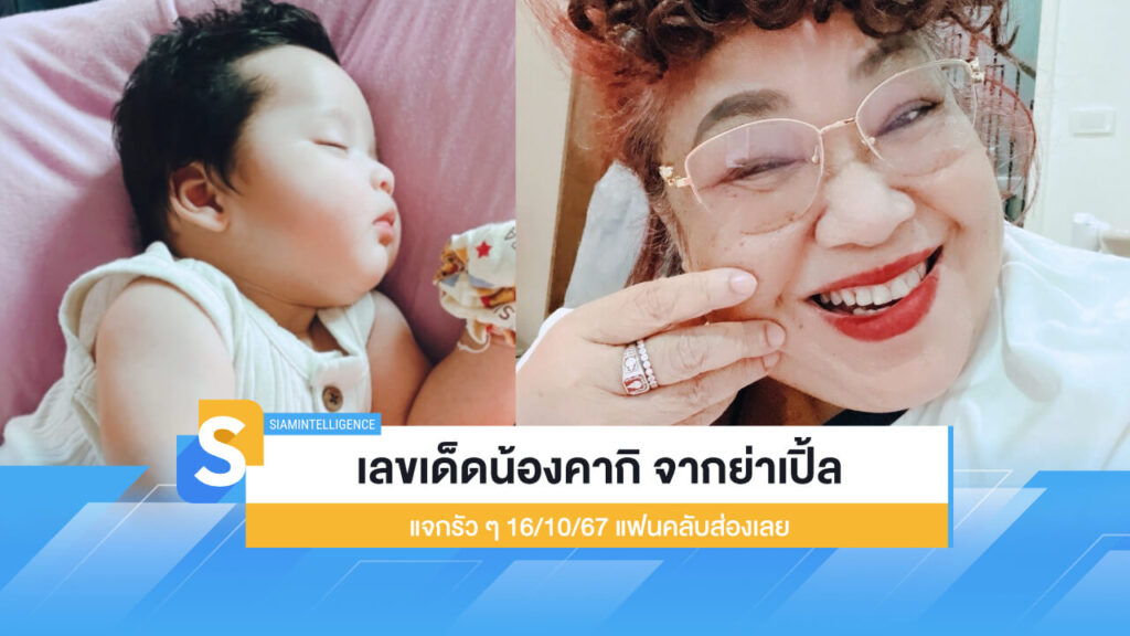เลขเด็ดน้องคากิ จากย่าเปิ้ล แจกรัว ๆ 16/10/67 แฟนคลับส่องเลย