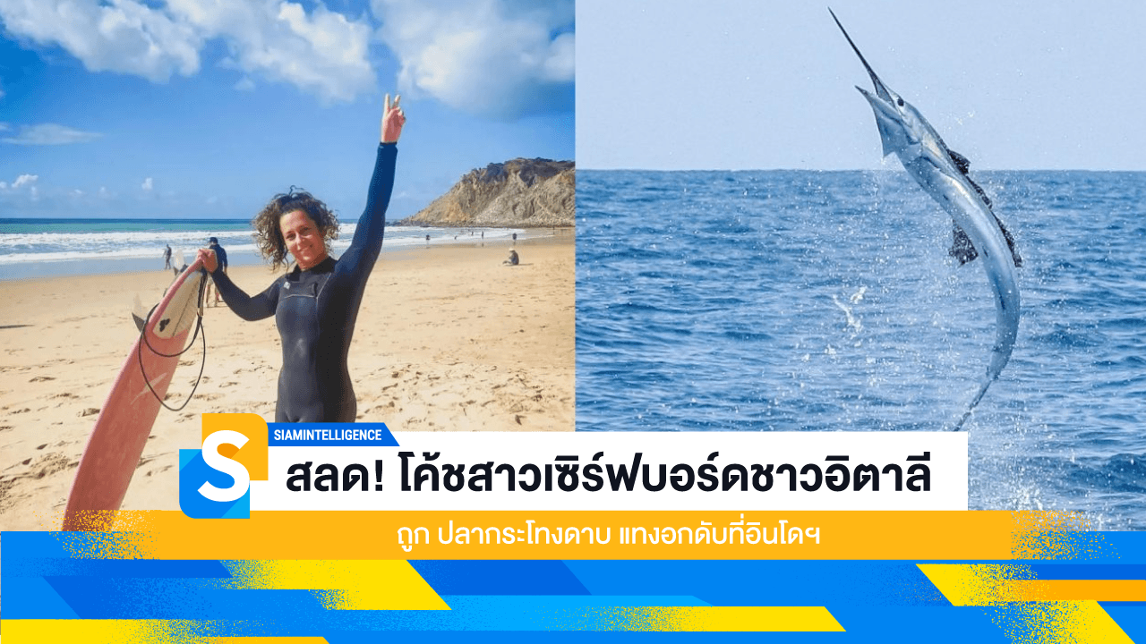 สลด! โค้ชสาวเซิร์ฟบอร์ดชาวอิตาลีถูก ปลากระโทงดาบ แทงอกดับที่อินโดฯ