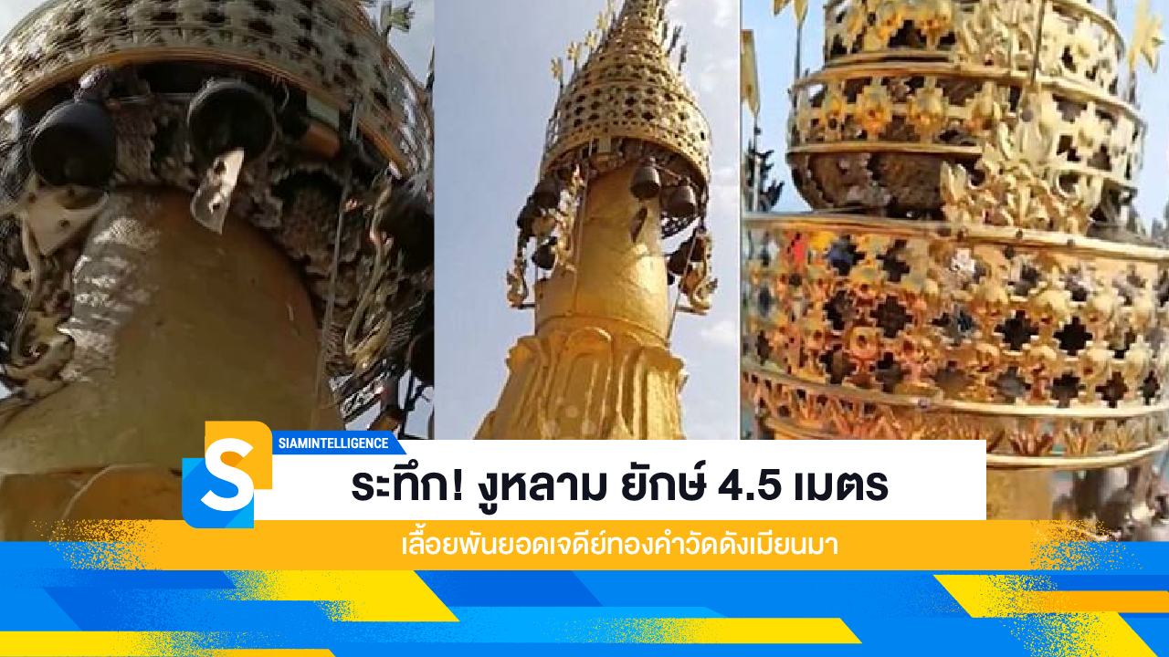 ระทึก! งูหลาม ยักษ์ 4.5 เมตร เลื้อยพันยอดเจดีย์ทองคำวัดดังเมียนมา