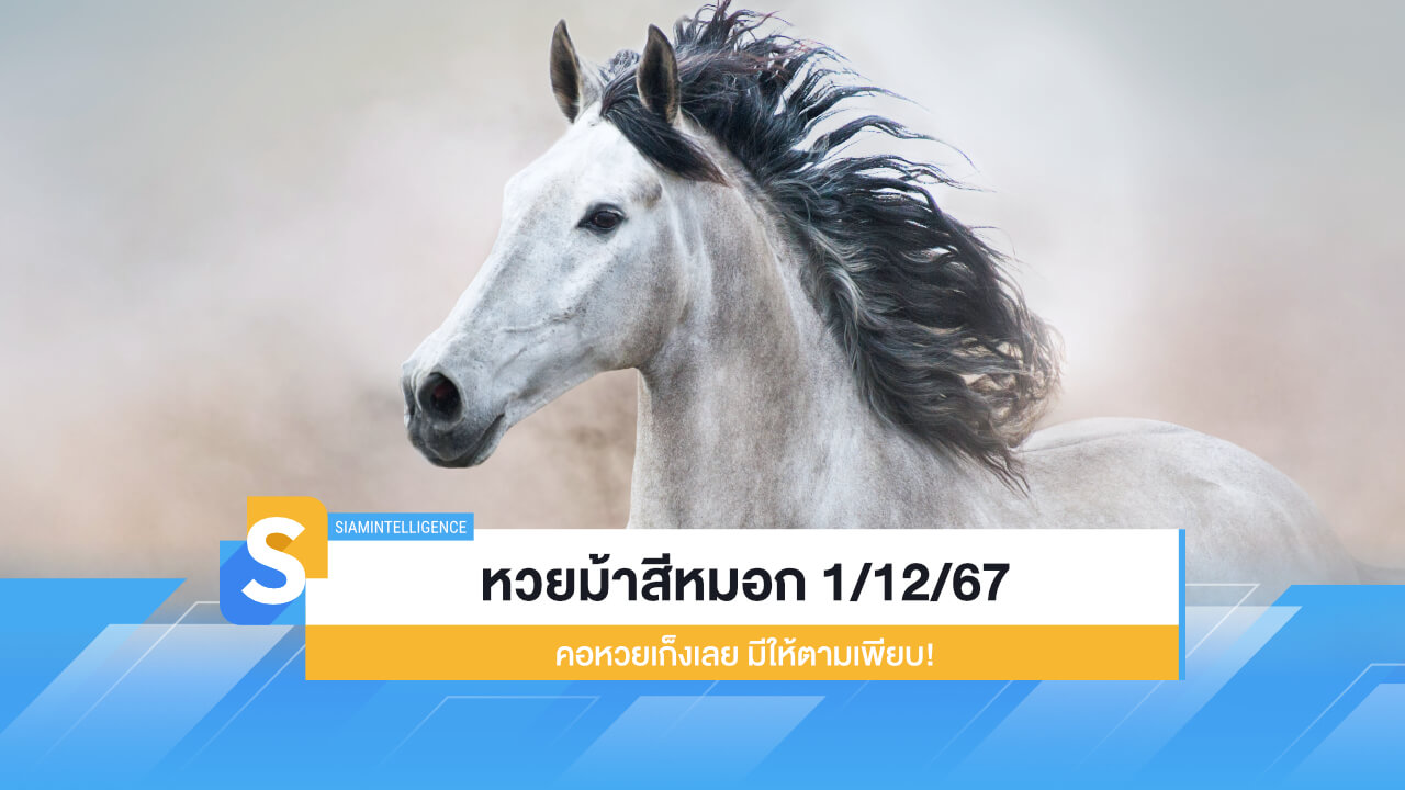 หวยม้าสีหมอก 1/12/67 มาแล้ว! คอหวยเก็งเลย มีให้ตามเพียบ!