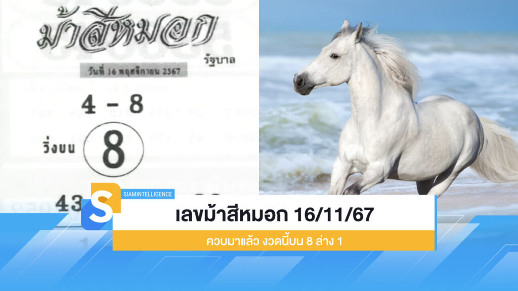 เลขม้าสีหมอก 16/11/67 ควบมาแล้ว งวดนี้บน 8 ล่าง 1 เก็งเลย