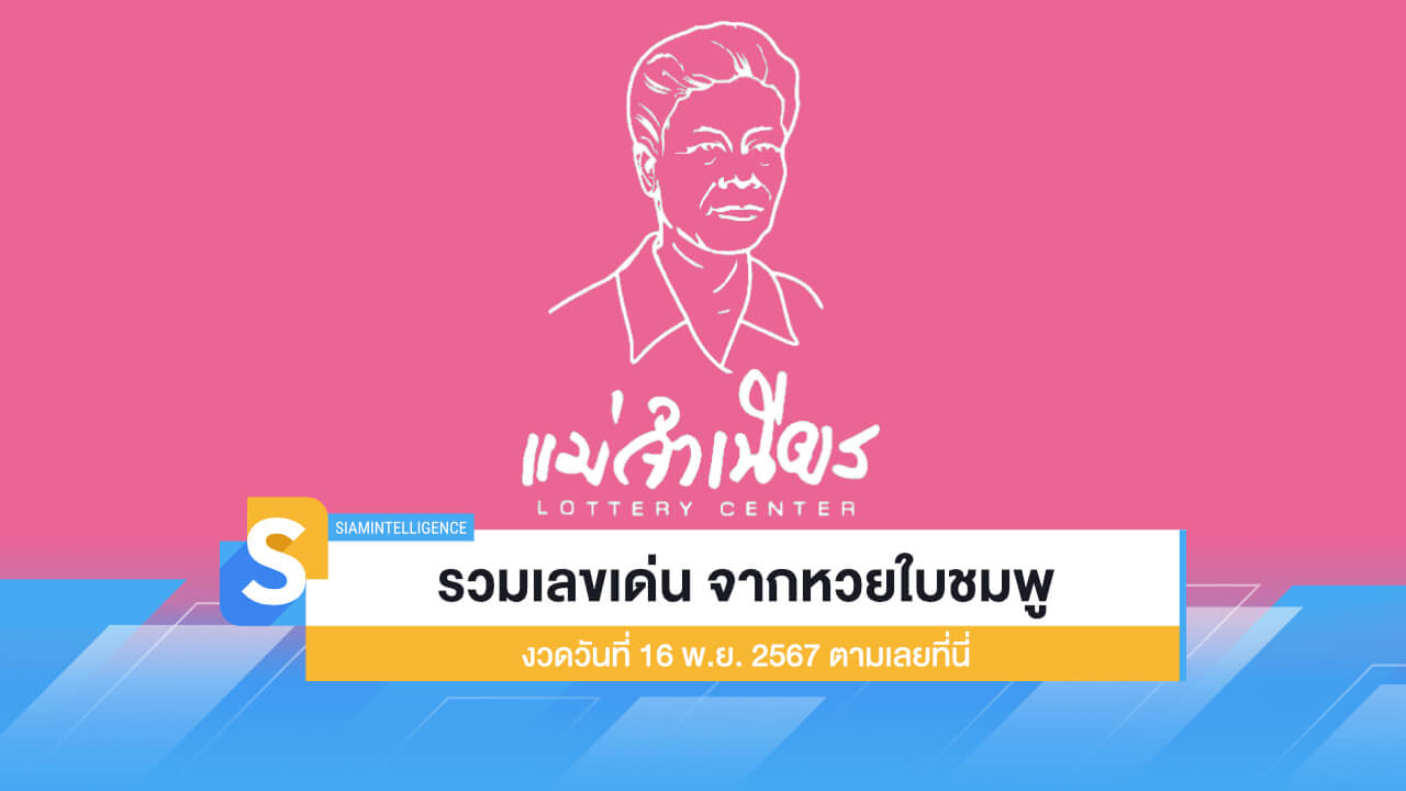 รวมเลขเด่น จากหวยใบชมพู งวดวันที่ 16 พ.ย. 2567 ตามเลยที่นี่