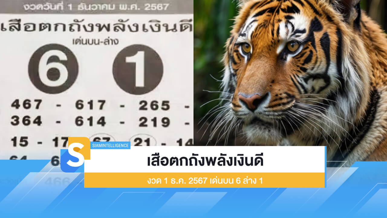 เสือตกถังพลังเงินดี งวด 1 ธ.ค. 2567 เด่นบน 6 ล่าง 1 ตามให้ไว