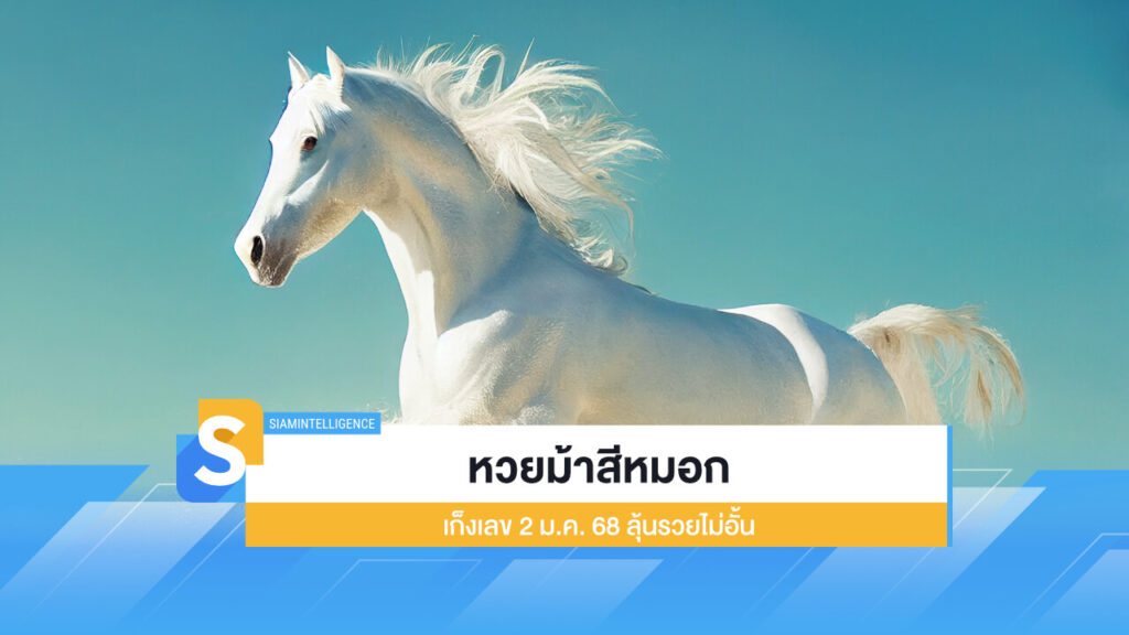 หวยม้าสีหมอก ควบมาให้แล้ว เก็งเลข 2 ม.ค. 68 ลุ้นรวยไม่อั้น