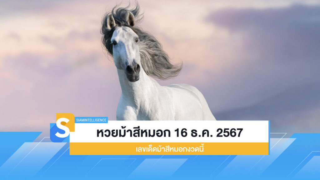 มาแล้ว! หวยม้าสีหมอก 16 ธ.ค. 2567 เลขเด็ดม้าสีหมอกงวดนี้