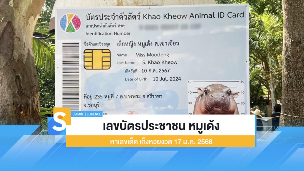 เลขบัตรประชาชน หมูเด้ง หาเลขเด็ด เก็งหวยงวด 17 ม.ค. 2568