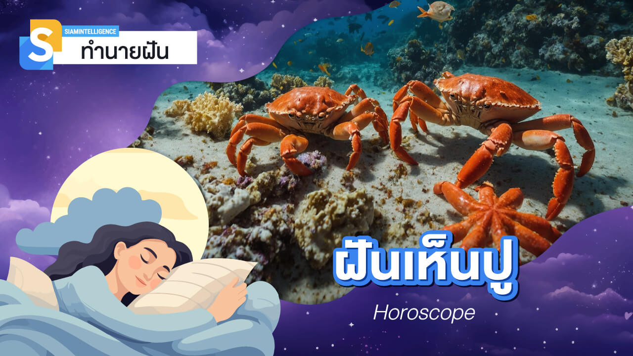 ฝันเห็นปู เยอะมาก ๆ หรือได้จับปูในฝัน ตีเลขเด็ด จากคำทำนาย