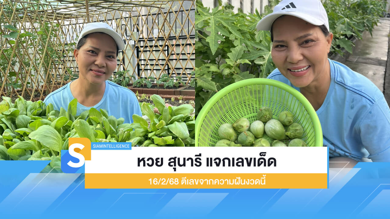 หวย สุนารี แจกเลขเด็ด 16/2/68 ตีเลขจากความฝันงวดนี้