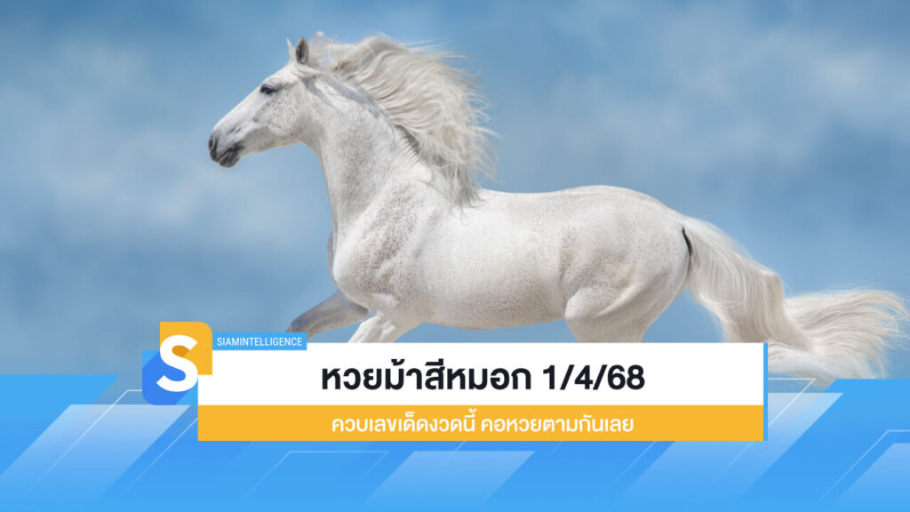 หวยม้าสีหมอก 1/4/68 ควบเลขเด็ดงวดนี้ คอหวยตามกันเลย