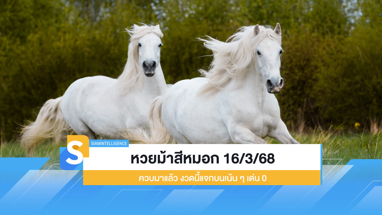 หวยม้าสีหมอก 16/3/68 ควบมาแล้ว งวดนี้แจกบนเน้น ๆ เด่น 0