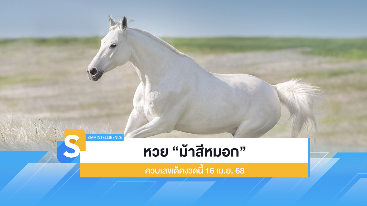 หวย “ม้าสีหมอก” ควบเลขเด็ดงวดนี้ 16 เม.ย. 68 เด่นบน - ล่าง