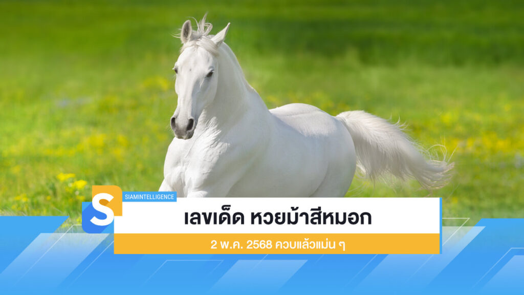 มาแล้ว เลขเด็ด หวยม้าสีหมอก 2 พ.ค. 2568 ควบแล้วแม่น ๆ