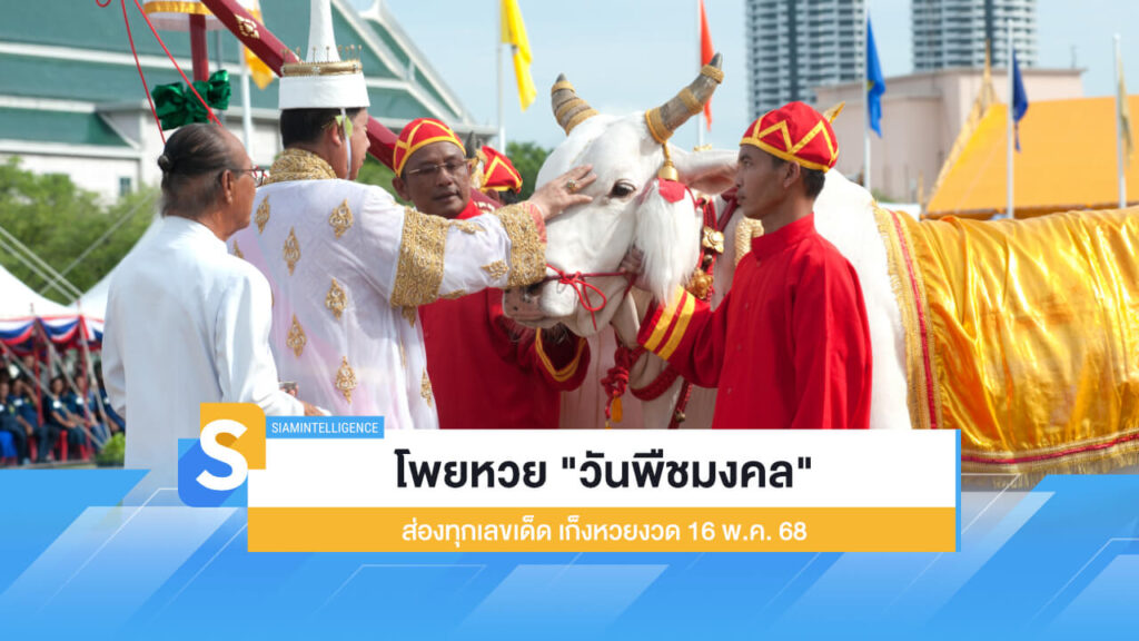 โพยหวย "วันพืชมงคล" ส่องทุกเลขเด็ด เก็งหวยงวด 16 พ.ค. 68