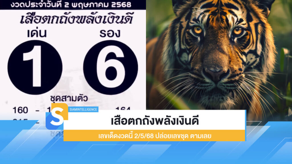 เสือตกถังพลังเงินดี เลขเด็ดงวดนี้ 2/5/68 ปล่อยเลขชุด ตามเลย
