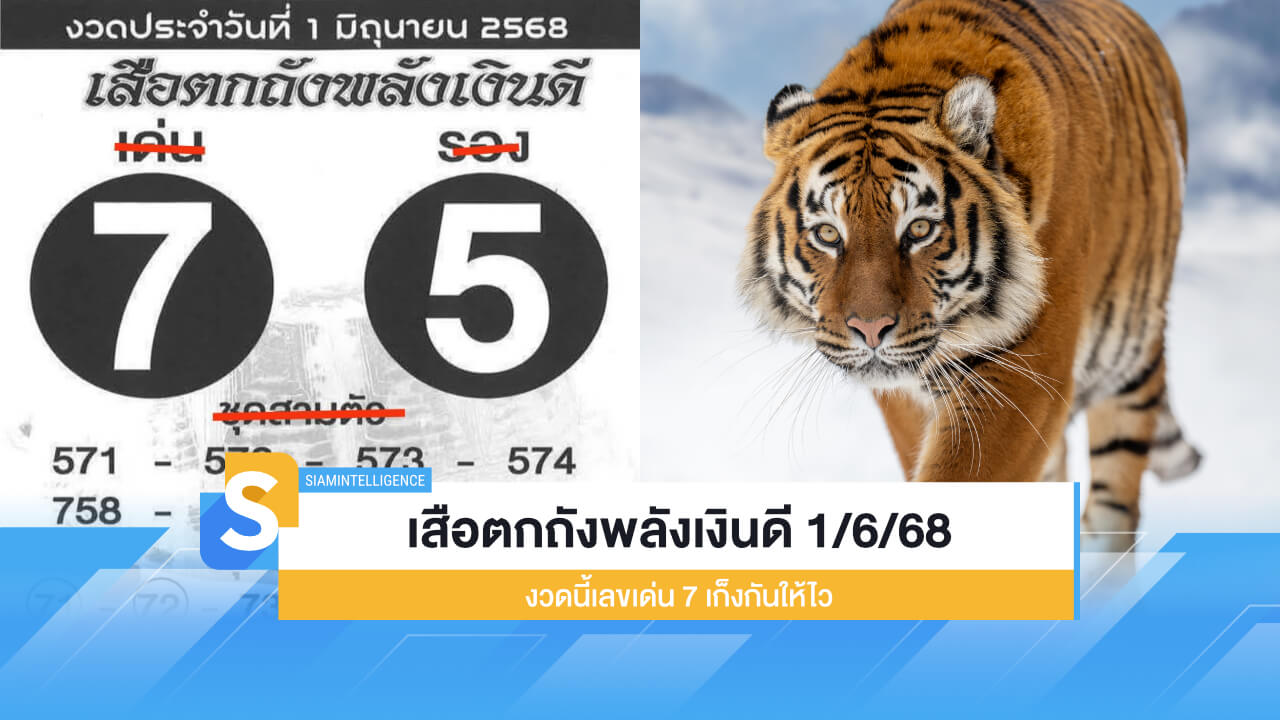 เลขเด็ด เสือตกถังพลังเงินดี 1/6/68 งวดนี้เลขเด่น 7 เก็งกันให้ไว