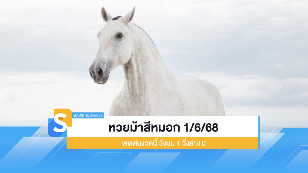 หวยม้าสีหมอก 1/6/68 ออกแล้ว เลขเด่นงวดนี้ วิ่งบน 1 วิ่งล่าง 0