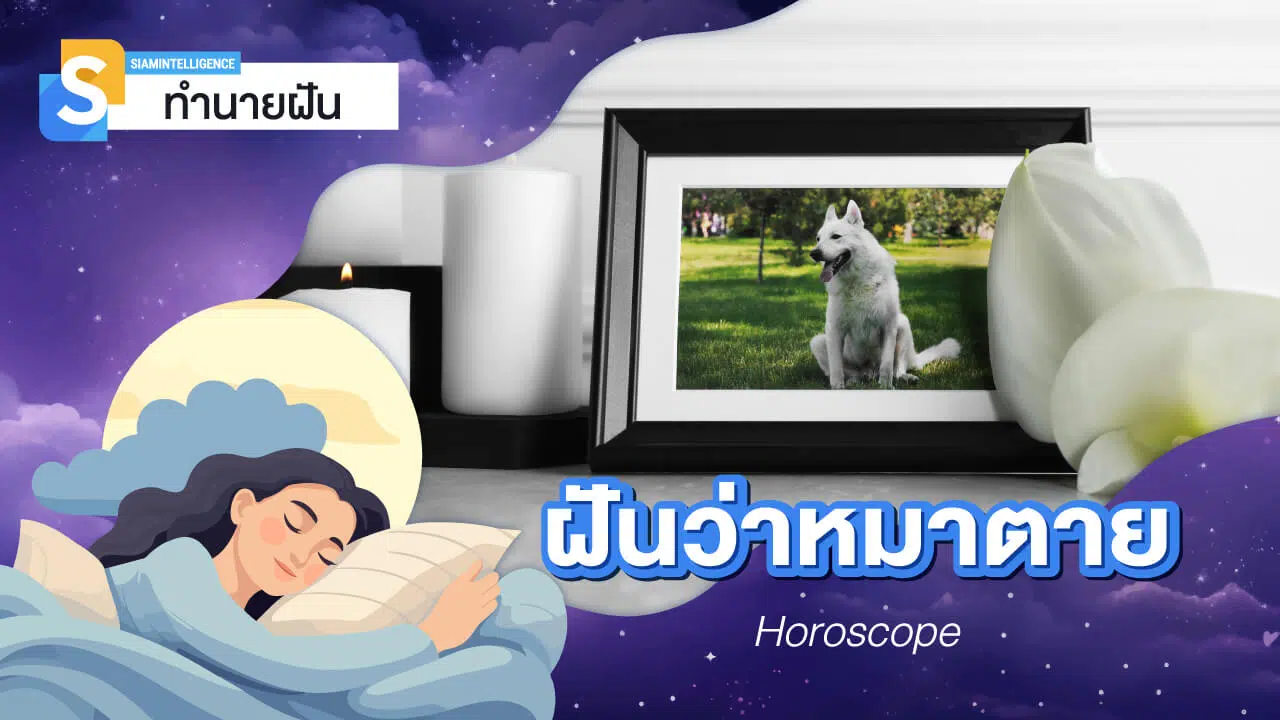 ฝันว่าหมาตาย เห็นหมาตายต่อหน้าต่อตา ทำนายฝัน พร้อมตีเลขเด็ด