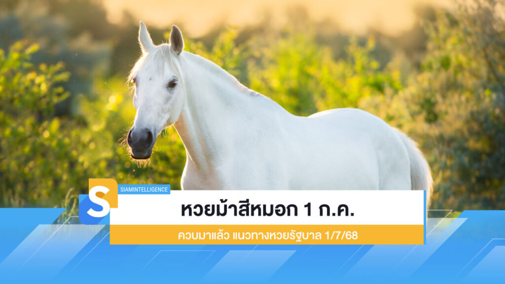 หวยม้าสีหมอก 1 ก.ค. ควบมาแล้ว แนวทางหวยรัฐบาล 1/7/68