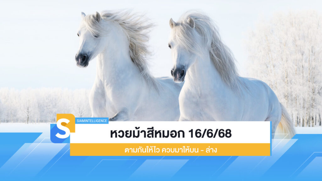 หวยม้าสีหมอก 16/6/68 ตามกันให้ไว ควบมาให้บน - ล่าง