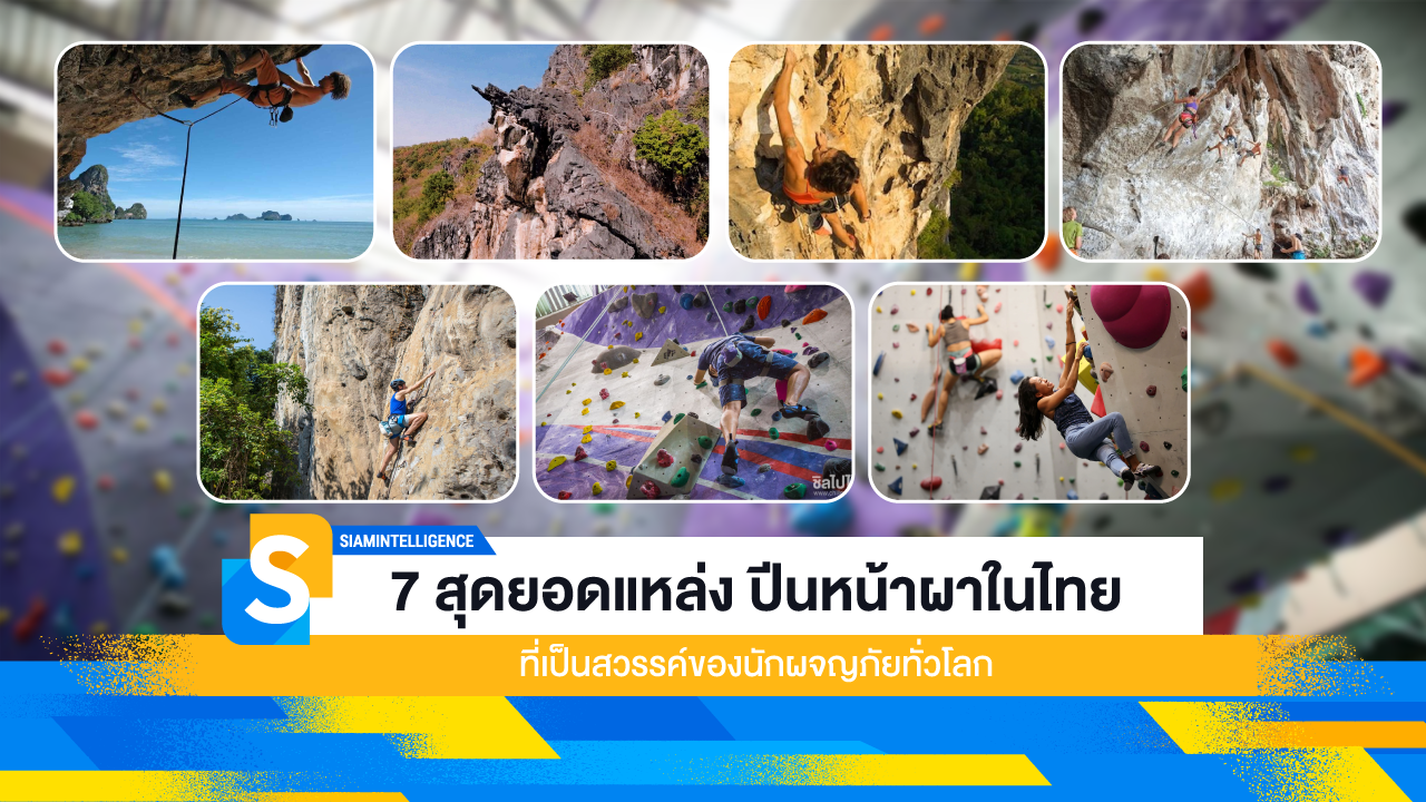 7 สุดยอดแหล่ง ปีนหน้าผาในไทย ที่เป็นสวรรค์ของนักผจญภัย