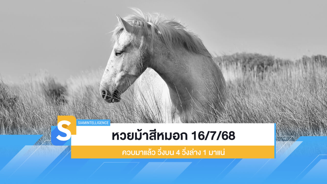 หวยม้าสีหมอก 16/7/68 ควบมาแล้ว วิ่งบน 4 วิ่งล่าง 1 มาแน่