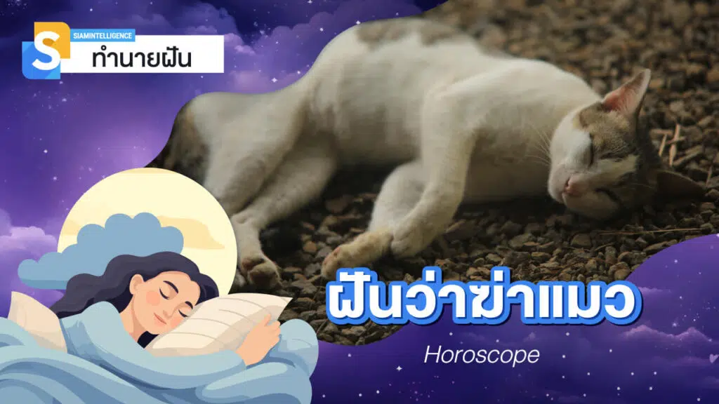 ฝันว่าฆ่าแมว เลขเด็ด ทำนายความฝัน พร้อมความหมายจากความฝัน