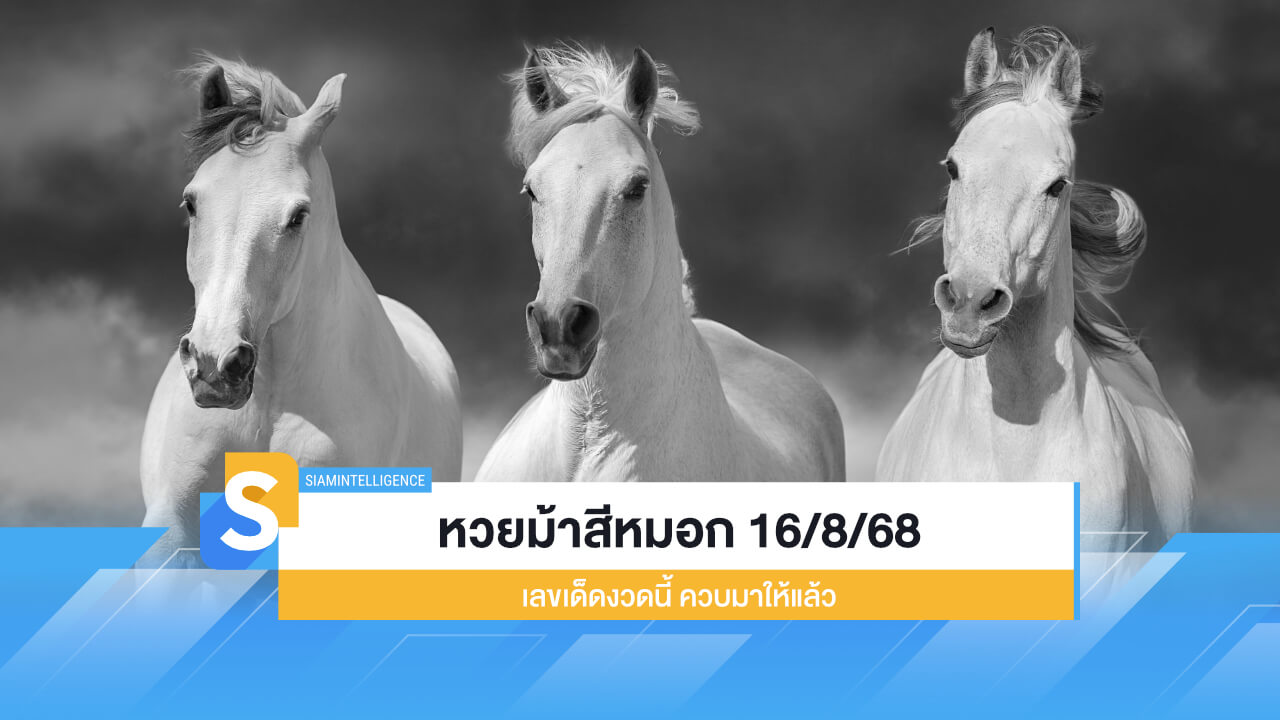 แนวทาง หวยม้าสีหมอก 16/8/68 เลขเด็ดงวดนี้ ควบมาให้แล้ว