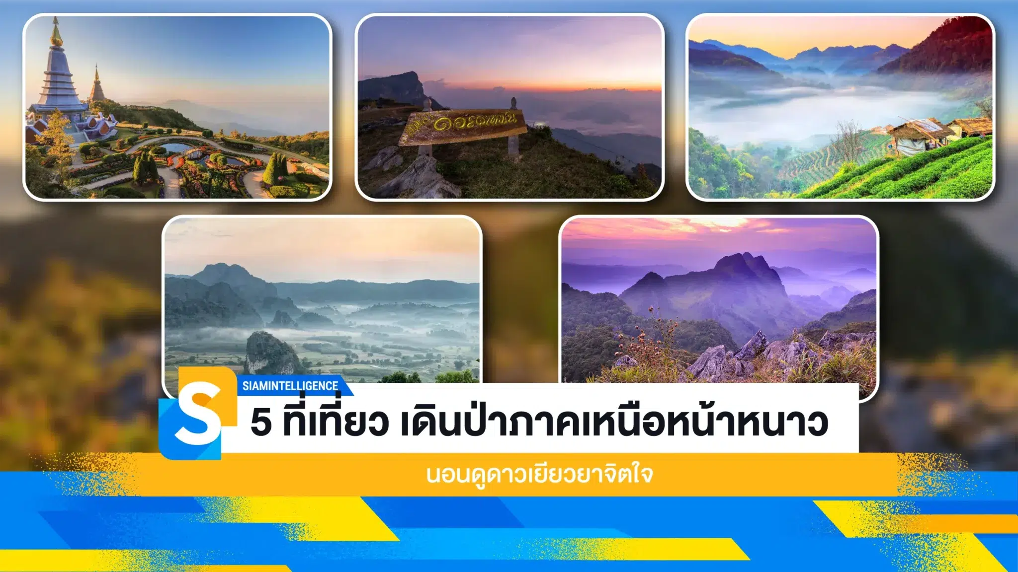 5 ที่เที่ยว เดินป่าภาคเหนือหน้าหนาว นอนดูดาวเยียวยาจิตใจ