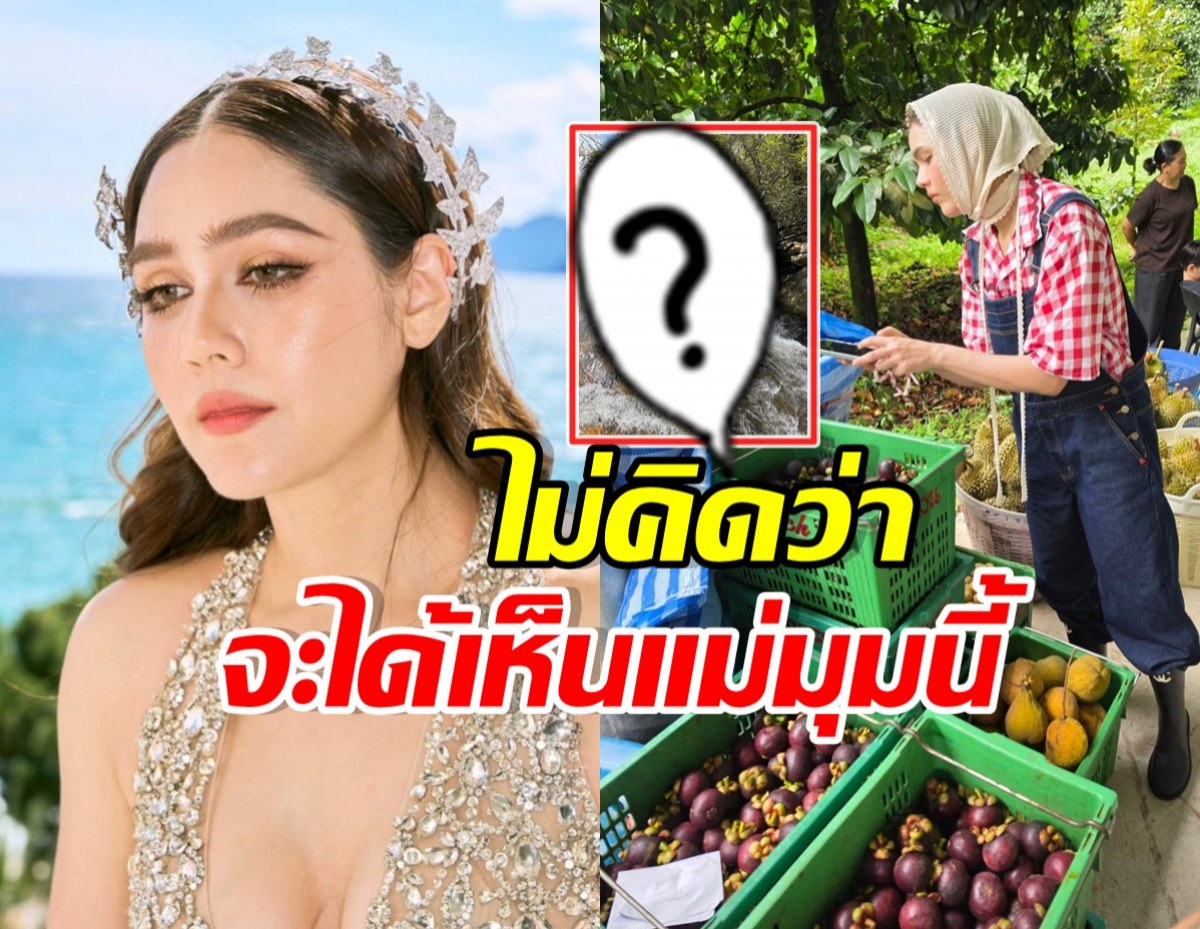 Collage of a glamorous woman by the sea on the left and a market scene with fruit on the right, with a question-mark frame in the center.