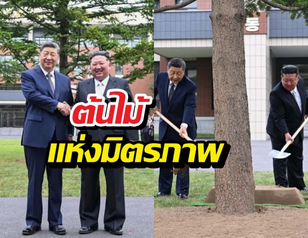 กระชับมิตร! สี จิ้นผิง-คิม จองอึน ปลูกต้นไม้