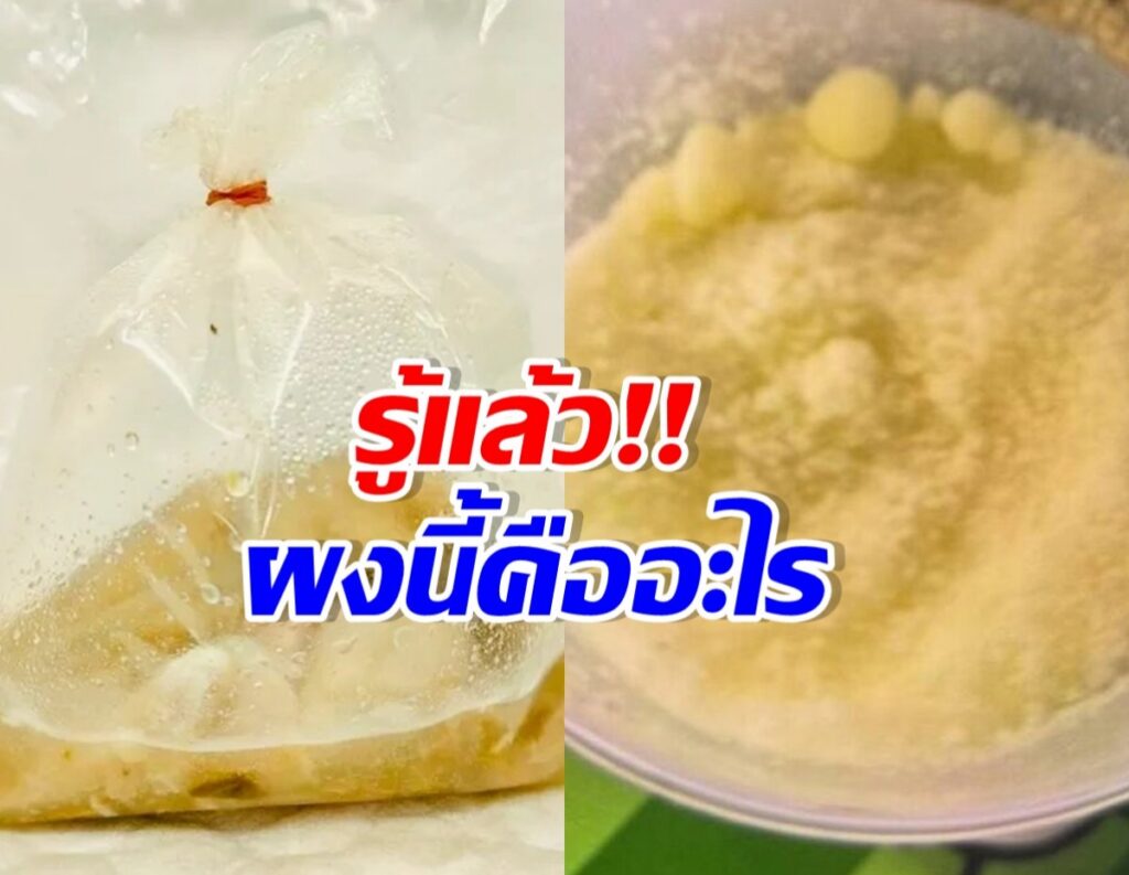 Transparent plastic bag tied at the top with a pale liquid inside, shown beside a bowl with yellow powdery mixture; bold Thai text overlay reads “รู้แล้ว!!” and “ผงนี่ดีจะอะไร”.