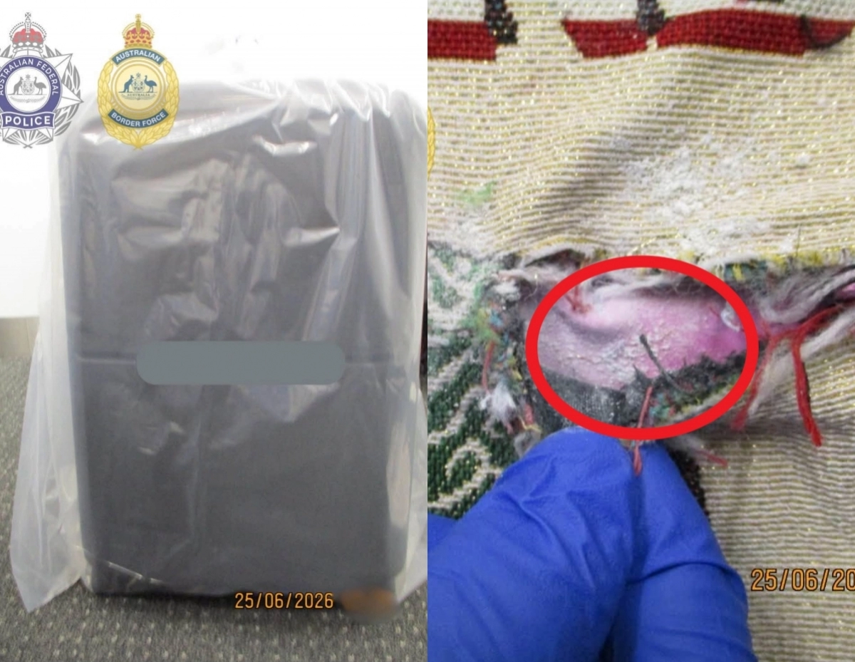 Split image: left a sealed suitcase wrapped in plastic with police badges in the corner; date 25/06/2026. Right a close‑up of torn fabric revealing pink lining, circled in red, with a gloved hand nearby.